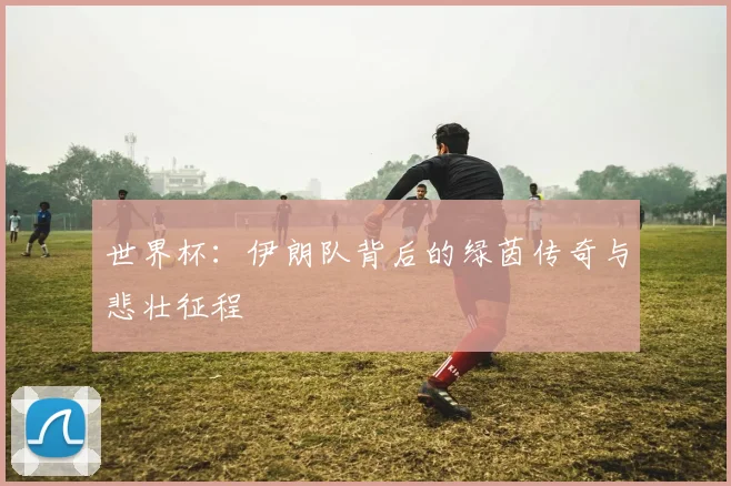 世界杯：伊朗队背后的绿茵传奇与悲壮征程