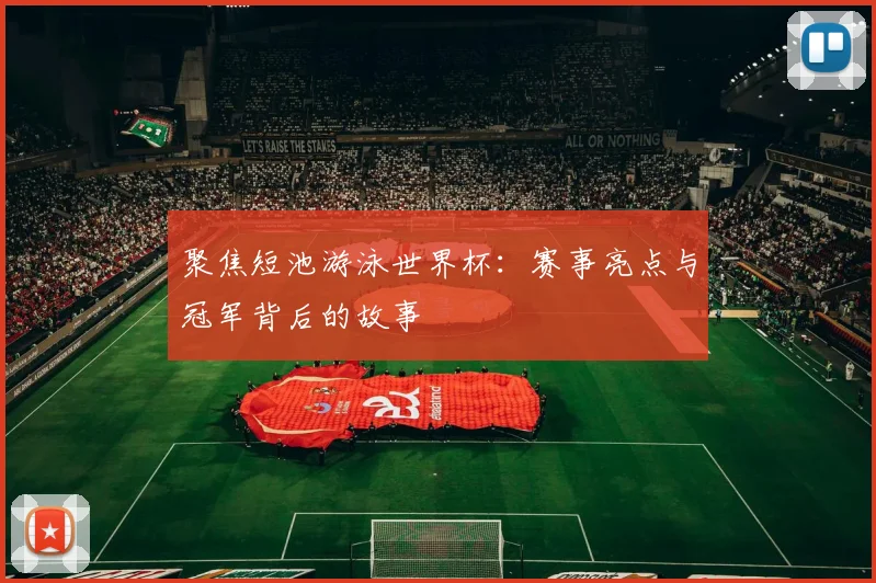 聚焦短池游泳世界杯：赛事亮点与冠军背后的故事